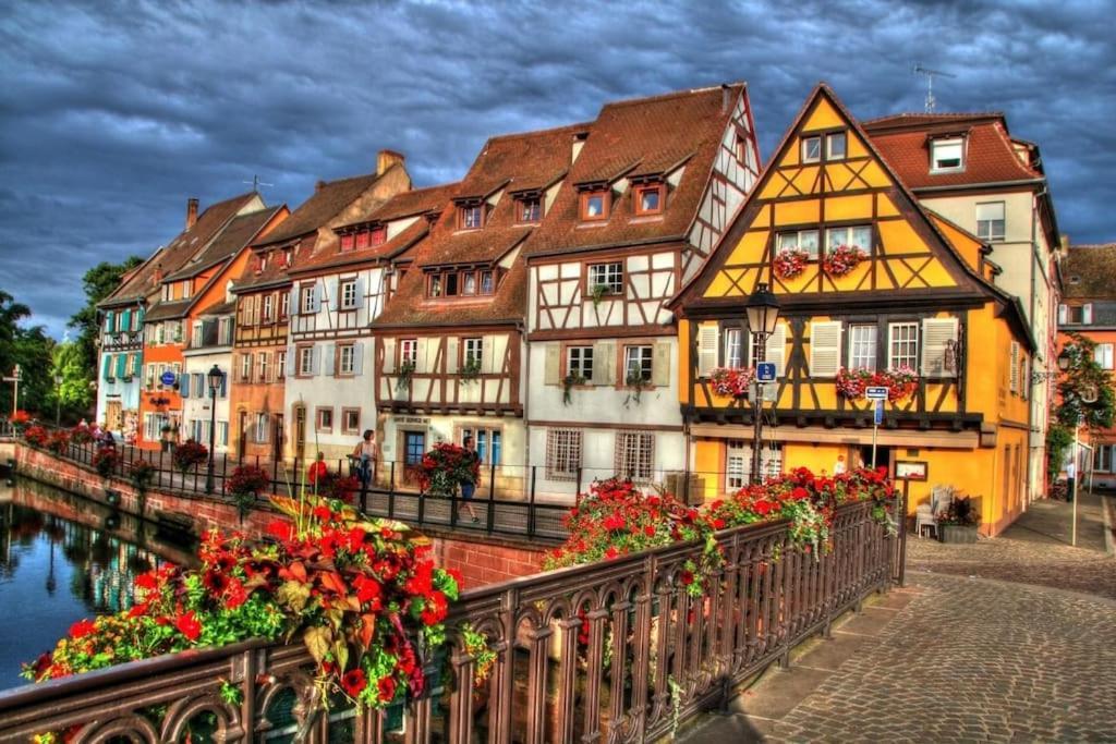 Appartement Climatise 70 M2, Proximite De Colmar Sainte-Croix-en-Plaine Exteriör bild