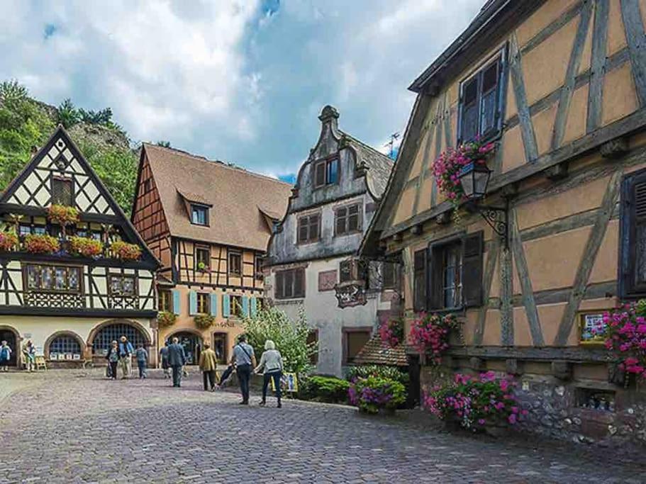 Appartement Climatise 70 M2, Proximite De Colmar Sainte-Croix-en-Plaine Exteriör bild