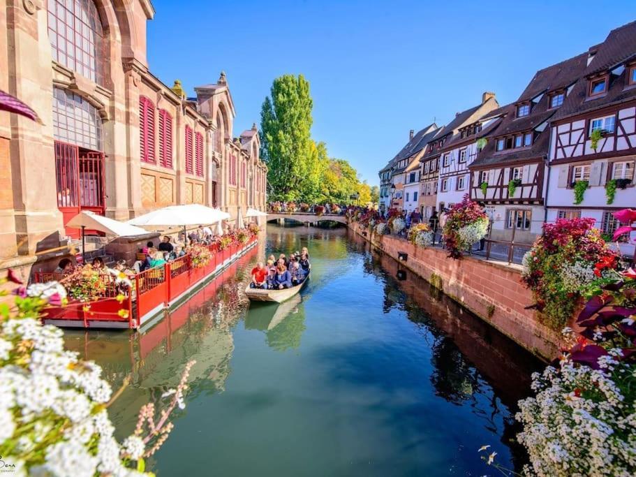 Appartement Climatise 70 M2, Proximite De Colmar Sainte-Croix-en-Plaine Exteriör bild