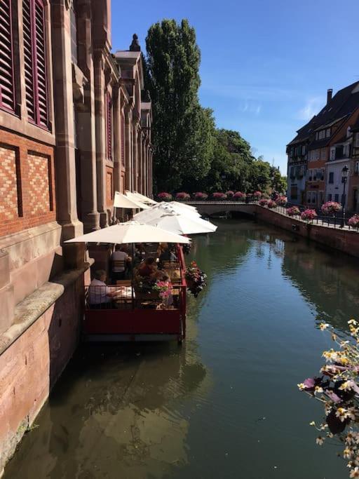 Appartement Climatise 70 M2, Proximite De Colmar Sainte-Croix-en-Plaine Exteriör bild